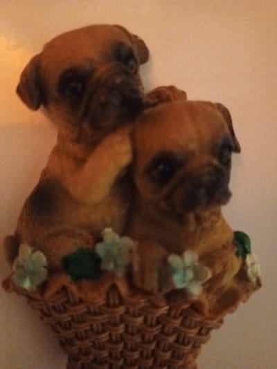The image shows a decorative figurine of two pug puppies nestled together in a woven basket adorned with small artificial flowers. One puppy is positioned slightly behind and above the other, with its paw resting on the head of the puppy in front. The figurines are brown and beige in color. The background is a plain, light-colored surface, possibly a wall. The scene is static and appears to be indoors. There is no discernible connection to the city of Belozernyi, Russia, as the image lacks any contextual or geographical markers.