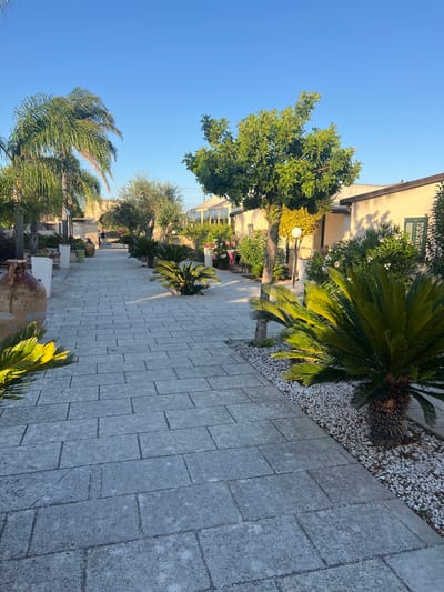 A paved walkway made of large, light gray rectangular stones stretches into the distance. The walkway is bordered on the right by a bed of small white pebbles, featuring several sago palms and an orange tree. On the left, there are more sago palms, large ceramic pots, and plants in planters. In the background, a few people are visible walking along the path, and there are buildings with light-colored walls and windows. The sky is a clear, bright blue. The scene depicts an outdoor area, likely a courtyard or garden, in a warm climate.
