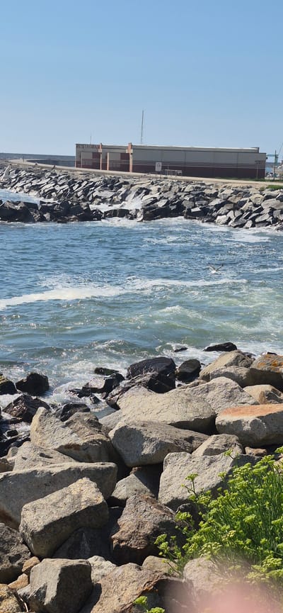 The image shows a rocky shoreline leading to a building with "RESTAURANT" signage in Vila do Conde, Portugal. The ocean is visible with waves crashing against the rocks. The sky is clear and blue. A seagull is in flight above the water. There are no people clearly visible in the scene. The building appears to be a single-story structure with a horizontal striped facade.