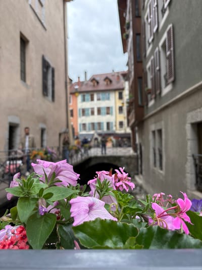 The image shows a close-up of pink petunias and other flowers in the foreground. In the background, a canal-side street in Annecy, France, is visible, with colorful buildings lining the waterway. People are seen walking on a bridge that spans the canal, and the architecture suggests a historic European setting. The sky is overcast, casting a soft light on the scene.