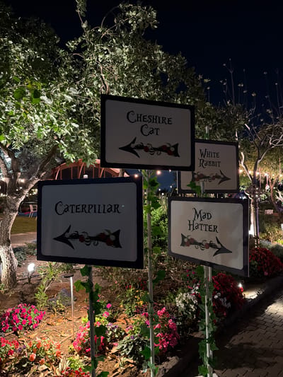 The image, taken at night, displays an outdoor, whimsical scene, likely themed after Alice in Wonderland. The primary subjects are four white, black-framed directional signs mounted on poles amidst trees and lush garden beds. Each sign features stylized black text and an arrow decorated with red and white roses.
From left to right in the vertical orientation, the visible signs read:
1. "CHESHIRE CAT" with an arrow pointing downwards.
2. "White RABBIT" with an arrow pointing upwards.
3. "Mad HATTER" with an arrow pointing upwards.
4. "CATERPILLAR" with an arrow pointing downwards.
The setting is illuminated by various artificial lights, including spotlights on the ground and string lights visible in the background, creating a glowing effect. The surrounding area is rich with foliage; trees with green leaves and some bare branches are prominent, particularly on the left. Below the signs, garden beds are filled with vibrant flowering plants in shades of red, pink, white, and purple. The ground is covered with natural debris and soil. In the upper right background, a paved surface resembling a brick path or wall is visible. Among the trees, a large, metal, key-shaped structure can be partially seen, further enhancing the fantastical theme. The scene appears to be an enchanting garden installation or part of a themed event. No people are visible.