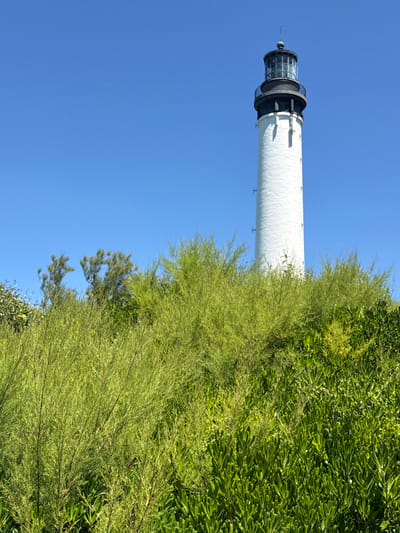 The image depicts the Phare de Biarritz lighthouse, a prominent white tower with a dark lantern room and railing, standing against a clear blue sky. The lighthouse is situated on a hill, with lush green foliage in the foreground, including dense bushes and trees. The lower portion of the lighthouse is partially obscured by the vegetation. The image is a static shot, with no people or activity visible. The overall environment suggests a sunny day in a coastal area.