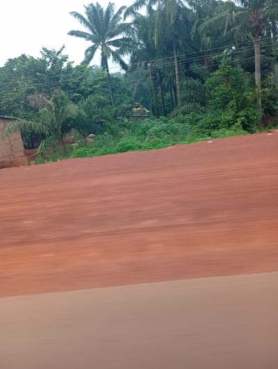 The image depicts a blurry, motion-filled view of a roadside scene in Imilike, Nigeria. In the foreground, a reddish-brown dirt road dominates the lower half of the frame, blurred by movement. Behind the road, a lush green area is visible, featuring a dense canopy of palm trees and other tropical vegetation. A partially constructed brick building with a brown roof is situated on the left side of the frame, nestled amongst the greenery. Several power lines stretch horizontally across the background, connecting to poles that are not fully visible. The overall impression is of a rural or semi-rural setting in a tropical environment, viewed from a moving vehicle.