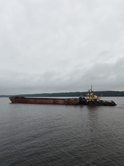 A tugboat is pushing a barge on a body of water, likely a river, under an overcast sky. The tugboat, which is yellow and black, has a Russian flag flying from its stern. The barge is long and flat, with a reddish-brown hull. In the background, a dense forest lines the opposite bank of the water. The water is dark and calm, with small ripples. The scene is likely in or near Anisimovo, Russia, given the presence of a Russian flag and the general landscape. There are no people visible in the image.