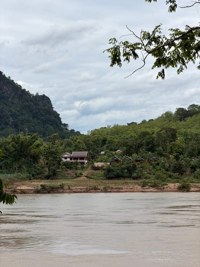 The image depicts a wide, murky river in the foreground, with ripples on its surface indicating a gentle current. The riverbank is lined with sandy earth and sparse vegetation. Across the river, a verdant hillside rises, densely covered in trees and foliage. Nestled amongst the trees on the hillside are several buildings. Prominently featured is a larger, two-story house with a dark red roof, appearing to be a residential dwelling or guesthouse. To the right of this house, a row of smaller, wooden bungalows with dark roofs are visible, suggesting a small resort or accommodation complex. The landscape is dominated by lush greenery, with a towering, rocky mountain covered in trees forming the backdrop on the left side of the frame. The sky is overcast with grey clouds. The scene is tranquil and rural, consistent with a location in Muang Pak Ou, Laos, known for its natural beauty and riverside villages. There are no people visible in the image.