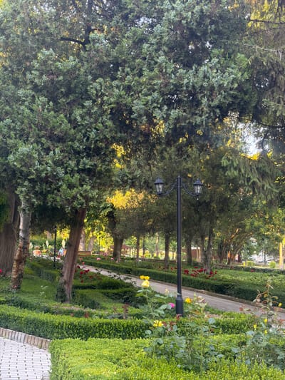 A serene park scene unfolds in Kranevo, Bulgaria, bathed in the warm glow of late afternoon sun. Towering evergreen trees, their branches lush and full, dominate the upper portion of the frame, casting dappled shadows on the manicured landscape below. A paved pathway winds through the park, bordered by meticulously trimmed green hedges.

Scattered amidst the foliage are vibrant red and yellow roses, adding pops of color to the verdant expanse. A traditional black lamppost with two lanterns stands sentinel along the path, hinting at the park's charm after dusk. In the mid-ground, a solitary figure sits on a bench, seemingly lost in contemplation, while other park-goers are subtly visible in the distance, enjoying the tranquil atmosphere. The overall impression is one of peaceful repose and natural beauty.