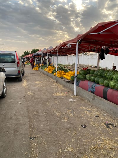 A street market scene is captured in Bougara, Algeria, under a cloudy sky. The market is lined with numerous stalls, covered by red and blue awnings, selling a large quantity of produce. Prominently displayed are rows of watermelons and yellow melons, arranged on wooden planks and concrete barriers. Several individuals are visible, some appearing to be vendors attending to the produce or interacting with unseen customers. A silver van is parked on the left side of the frame, and another white car is partially visible in the foreground. The ground is a dirt path, sparsely covered with dry straw and scattered debris, suggesting a typical outdoor market environment. The overall impression is of a busy, yet somewhat unkempt, marketplace.