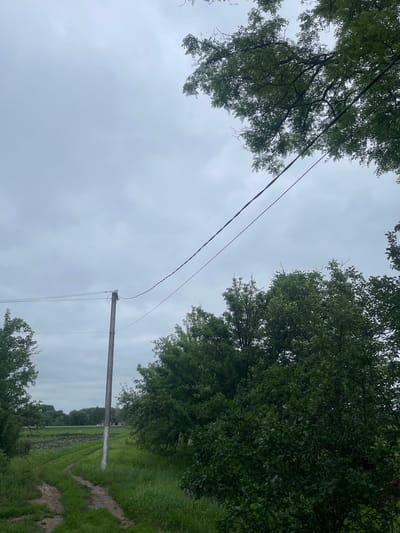 A dirt road curves through a grassy area, leading towards a field of crops under a cloudy sky. A single wooden utility pole with wires stands near the road. Trees flank the scene, with dense green foliage and branches extending into the frame, some of which have leaves that obscure parts of the sky. The area appears to be rural, with no people or structures visible in the immediate vicinity, other than a distant building in the background.