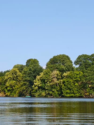 A tranquil scene unfolds across a calm body of water, with a lush forest line forming a verdant backdrop. The water's surface is a tapestry of shimmering reflections, broken by gentle ripples that suggest a peaceful stillness. In the distance, a small, teal-colored boat navigates the water, with a lone figure visible within it, engaged in an unknown activity. The boat appears to be nearing the shore, which is densely wooded with a variety of trees.
The trees dominate the landscape, their leaves a vibrant spectrum of greens, hinting at a warm, sunny day. Some trees show lighter, almost yellow-green foliage, while others are a deep emerald. The forest canopy is thick and full, suggesting a mature woodland. The sky above is a vast expanse of clear, pale blue, devoid of clouds, which further reinforces the impression of fair weather.
The overall mood of the image is one of serenity and natural beauty. The time of day appears to be late morning or early afternoon, given the bright sunlight. The location, Horodyshche, Ukraine, is suggested by the context. There is no visible text in the image. The composition, with the expansive sky and the grounded forest, creates a sense of peace and quiet contemplation. The single boat and its occupant add a subtle element of human presence within this otherwise untouched natural setting.