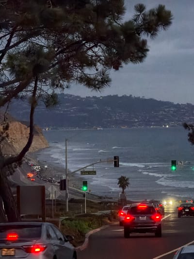Captured from an elevated vantage point in Del Mar, United States of America, the image depicts a coastal cityscape transitioning from twilight to night. To the left, a large, dark tree occupies a significant portion of the frame, its branches intricately spread out against the sky. In the midground, a cityscape stretches along the coastline, illuminated by scattered artificial lights. A body of water, likely the ocean, dominates the central area, its surface reflecting the ambient light. On the right, a road filled with traffic is visible, with vehicles displaying lit tail lights. Streetlights and traffic signals further illuminate the road. A street sign indicates "Carmel Valley." A vehicle is in the lower right foreground with illuminated tail lights. The overall mood of the image is subdued and serene.