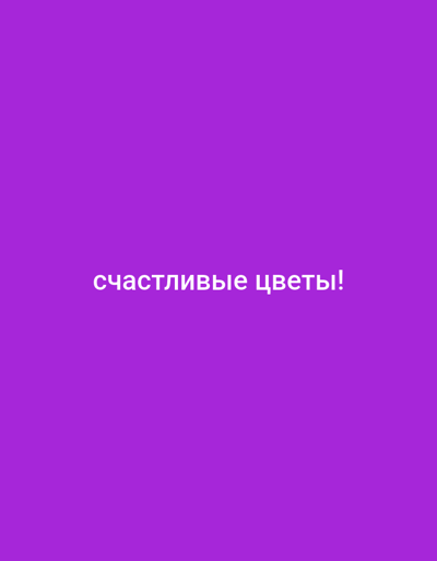 The image is a solid purple background with white text that reads "счастливые цветы!" (happy flowers!). There are no people, objects, or environmental details present in the image. The location in Novokayakent, Russia, is irrelevant to the content of the image.