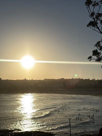 An outdoor scene captures a beach and urban landscape in North Bondi, Australia, at sunset or sunrise. The bright, circular sun is prominent slightly left of the image center, casting a strong horizontal lens flare across the frame. The sky transitions from a brilliant golden-yellow around the sun to a desaturated blue-gray overhead. A distinct green lens flare is visible to the right of the sun. The horizon reveals a silhouetted cityscape with numerous buildings and at least three identifiable construction cranes. Below the cityscape, a wide beach hosts numerous indistinct individuals, appearing as dark figures on the sand. The ocean surface reflects the sun's light in a shimmering, elongated path extending towards the foreground, where gentle waves are visible. The water contains a significant number of dark, silhouetted individuals, some standing, some partially submerged, and some possibly engaging in water activities. A dark, leafy tree branch partially intrudes from the upper right corner, obscuring a portion of the sky. In the lower foreground, a dark, vertical post or pole is partially visible against a darker, possibly rocky or sandy area.
