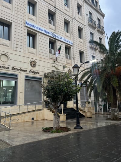 The image displays the exterior of the "Banque Extérieure d'Algérie" in Oran, Algeria, under an overcast sky with wet pavement. The multi-story building is constructed from light-colored stone or concrete, featuring a classical architectural design with regularly spaced rectangular windows and multiple air conditioning units. An Algerian flag is mounted on the building's facade above the main entrance. The bank's name is prominently displayed in both French ("Banque Extérieure d'Algérie") and Arabic on a blue sign across the second floor.
The ground-level entrance includes a dark-tiled set of steps leading up to the main doors, partially obscured by a small, leafy tree with a light-colored trunk. A glass canopy extends over this entrance. To the left of the steps, a concrete accessibility ramp with a silver metal handrail leads to a lower entrance area, part of which is secured by a closed gray metal roller shutter. Another section of the ground-level interior is visible and illuminated.
The pavement in the foreground is wet, reflecting light, and transitions from a lighter shade near the building to darker, possibly square-tiled, sections further out. A black, ornate street lamp post with a modern, illuminated LED fixture stands to the right of the small tree. Further right, a large palm tree with green fronds is visible. No individuals are present in the scene.