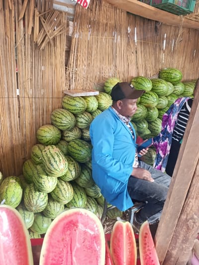 The image captures a market stall located in Kiuu ward, Kenya. A male individual is seated, positioned towards the right of the frame, wearing a light blue long-sleeved shirt, dark blue jeans, and a brown baseball cap with a light-colored logo. He holds a blue smartphone in his right hand. To his immediate right, a second individual is partially visible, wearing a black and white striped top and a garment with a purple floral pattern. The background consists of a vertical wall constructed from dried bamboo or reed stalks. Numerous whole watermelons, characterized by green and dark green stripes, are piled high behind and to the left of the seated male. A small stack of what appears to be cardboard or paper rests on top of some watermelons on the left. In the foreground, several cut watermelons are displayed, revealing their vibrant red flesh and black seeds.
