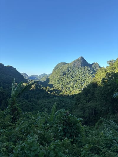 A panoramic, high-angle shot captures a lush, green valley in Thượng Trạch Commune, Vietnam, bathed in the warm light of morning or late afternoon. The foreground is dominated by dense, vibrant green foliage, including large, broad leaves and tangled vines. This thick vegetation gives way to a wide valley that stretches into the distance, characterized by rolling hills covered in an unbroken canopy of trees.
The dominant feature of the valley is a sharply peaked, rugged mountain, its steep slopes covered in a thick, verdant forest. Sunlight dramatically illuminates one side of this prominent peak and parts of the surrounding hills, creating a stark contrast with the shadows in the deeper recesses of the valley. Several other smaller, rounded mountains, also densely forested, recede into the background, creating a sense of depth and scale.
The sky above is a clear, bright, and uninterrupted cerulean blue, indicating fair weather and good visibility. There are no visible people, animals, or man-made structures, suggesting a remote and natural landscape. The overall impression is one of serene, undisturbed natural beauty.