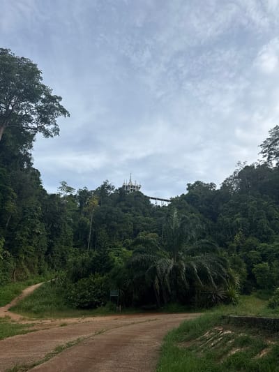 The image depicts a lush, tropical landscape in Ban Sadet, Thailand. In the foreground, a dirt path splits and curves around grassy embankments. Dense, green vegetation, including palm trees and tall forest trees, dominates the scene, creating a sense of seclusion. In the background, atop a verdant hill, a white, multi-tiered building with spires is visible, suggesting a temple or significant structure. A long, elevated walkway or bridge connects to the structure from the side of the hill. The sky is overcast with scattered clouds. The scene appears tranquil and natural, characteristic of a rural or mountainous area.