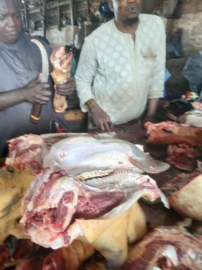 The image portrays a butcher stall in Kofar Mazugal, Nigeria, featuring two men and various raw meat cuts. In the left foreground, a dark-skinned man in a dark garment holds a large, curved knife with a wooden handle in his right hand. His left hand firmly grasps a severed animal leg, presenting the exposed bone end. To his right, a second dark-skinned man with a dark beard wears a light-colored, patterned tunic; his hands are positioned near meat on the surface, suggesting an active role in processing. The central foreground is dominated by a splayed-open animal head, likely from a bovine or caprine, displaying its tongue and exposed muscle tissue. Surrounding this head are additional raw meat sections, including large red cuts with visible bone fragments, all resting on a dark, flat surface. The background is indistinct and dark, indicating an indoor or covered market setting.
