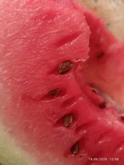 A close-up, high-angle shot shows a slice of watermelon with visible seeds. The watermelon flesh is bright red and glistening. The seeds are dark brown and oval-shaped, embedded in the flesh. The image is taken indoors, likely in a domestic setting, with no indication of the city of Razzakov, Kyrgyzstan. The time stamp "18.06.2026 12:08" is visible in the bottom right corner.