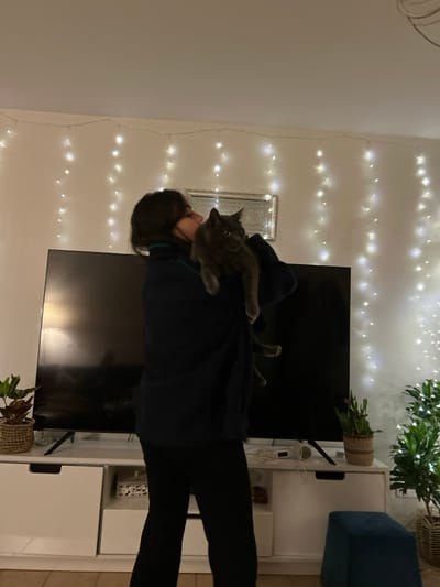 A woman in dark clothing is hugging a grey cat. The cat is on her shoulder with its front paws draped over her upper back. The woman is facing towards the left of the image. Behind them is a black flat screen TV against a white wall with string lights. Some furniture and plants are partially visible in the background.