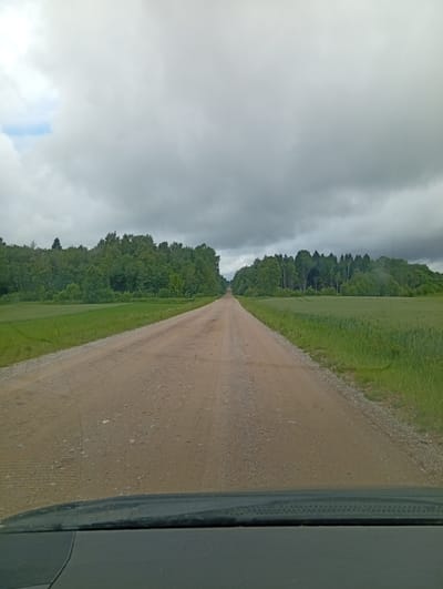 The image depicts a dirt road leading into the distance, flanked by green fields on either side. A dense forest borders the fields on the left, while a lighter forest with scattered trees is visible on the right. The sky is overcast with heavy grey clouds. The foreground shows the dashboard of a vehicle, suggesting the photo was taken from inside. The scene is likely located in a rural area of Žygaičiai, Lithuania, given the context. There are no people or animals visible in the image. The overall impression is one of a quiet, secluded landscape under a cloudy sky.
