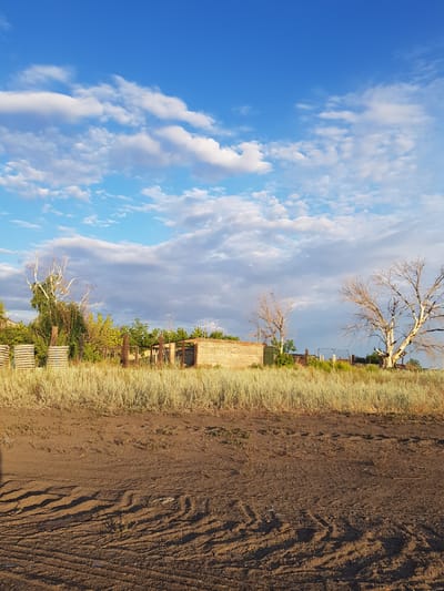 The image depicts an outdoor scene at a rural location, possibly in Дөлен ауылдық округі, Kazakhstan. In the foreground, there is a patch of dry, brown earth with visible tire tracks and some sparse vegetation. Beyond this, a dense area of tall, dry, light-colored grass stretches horizontally across the frame. Behind the grass, there are several structures and trees. To the left, there are some stacked wooden crates or pallets. Further back, a low, light-colored building with a flat roof is visible, possibly a shed or storage unit. Several wooden posts and fencing are interspersed with greenery. Two prominent trees with bare, light-colored branches are situated in the midground, one to the left of center and a larger one to the right. The background is dominated by a bright blue sky with scattered white and gray clouds, suggesting daytime with potentially changing weather. There are no people or animals clearly visible in the image. The overall impression is one of a somewhat neglected rural or agricultural setting under a wide-open sky.