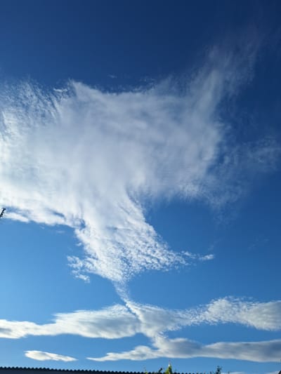 The image shows a bright blue sky filled with various types of clouds. A large, wispy white cloud formation dominates the upper center of the frame, appearing almost like a feathery wing or a swirling plume. Below this, smaller, more scattered clouds are visible, some appearing as delicate streaks and others as small, puffy formations. The lower portion of the image reveals a dark, corrugated roofline, suggesting it is a view from a building or elevated structure. A thin antenna or pole is visible on the far left edge of the image. The overall scene depicts a clear day with dynamic cloud activity. The location is Sunzha, Russia.