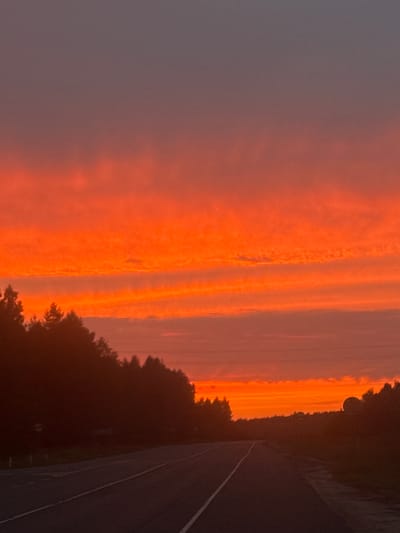 The image depicts a road leading through a treeline during a vibrant sunset. The sky is filled with brilliant orange and red hues, with some lighter gray clouds interspersed. The trees on either side of the road are silhouetted against the colorful sky, appearing dark and dense. The road itself is asphalt and has white lane markings. In the distance, the treeline continues, with the sky gradually transitioning to a darker gray towards the top of the frame. There are no people or animals visible in the image. The location is identified as Novoe, Russia.