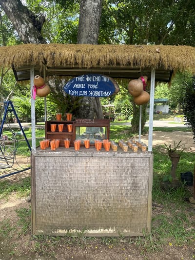 This image shows an outdoor market stall in Khánh Vĩnh, Vietnam, with a thatched roof and a woven bamboo facade. The stall appears to be selling animal food, with multiple small plastic cups filled with what looks like chopped carrots or sweet potato and other cups filled with corn kernels. A blue sign with text in Vietnamese, English, and Russian reads "Animal Food". Two decorative gourds hang from the roof, one tied with a pink ribbon. In the background, a tree trunk with roots is visible, along with lush green foliage and trees. A blue swing set is partially visible on the left side of the image. The ground is covered with dirt, grass, and fallen leaves.