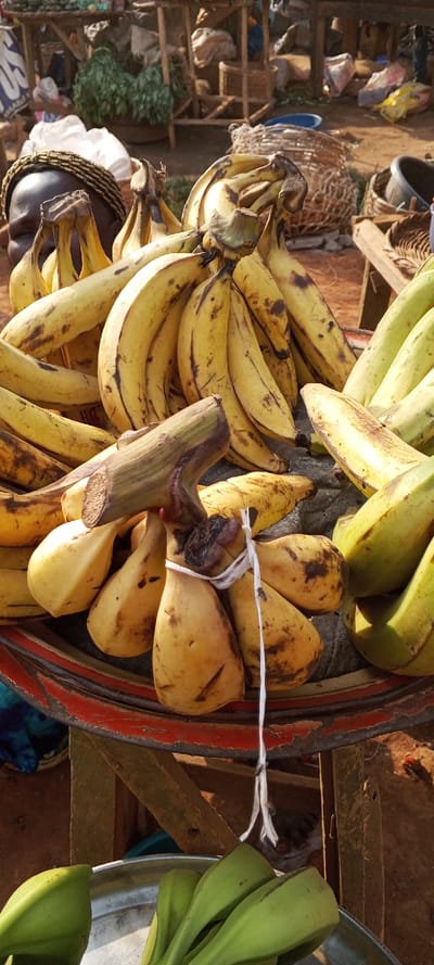 This image captures a close-up of a market stall in Ketu Adieowe, Nigeria, featuring an abundant display of bananas and plantains under bright daylight. The main subjects are large bunches of ripe, yellow bananas, many showing brown speckles, indicating varying stages of ripeness. These are prominently arranged in a red-rimmed tray or container in the foreground and mid-ground.

Closer to the viewer, a smaller bunch of yellow bananas is tied with a white string. Below this, in a silver basin, several green, unripe bananas or plantains are visible. Partially obscured on the left, the head and shoulders of a person with dark skin can be seen, adorned with a distinctive gold or brown beaded headband.

The background reveals a typical market setting with rustic wooden structures and stalls. Various woven baskets of different sizes are scattered, alongside other market goods, including some green leafy items and indistinct bags. A blue plastic basin is also visible in the mid-background. The bright, clear lighting suggests it is daytime, likely a sunny morning or afternoon. Part of a word, starting with 'S', is discernible on a blue banner in the upper left of the background. The scene conveys the lively atmosphere of local commerce and the availability of fresh produce.