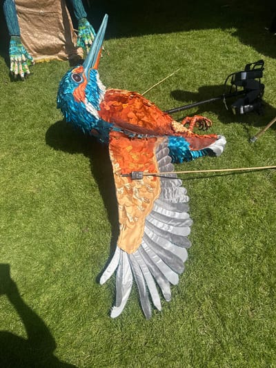 The image shows a large, colorful puppet of a kingfisher lying on a grassy area, likely a park or lawn, in Leominster, United Kingdom. The puppet is predominantly orange, blue, and white, with intricate feather details. Its wings are spread, and its beak is pointed upwards. A thin stick or rod runs horizontally across the puppet's wing, and another rod is visible to the right of the puppet, with a piece of equipment attached to it. In the background, parts of other large figures or puppets, possibly part of a parade or event, are visible, including two large, multi-jointed limbs with painted hands. The scene is bathed in sunlight, casting a noticeable shadow from the puppet. The grass is green and appears well-maintained. The presence of the puppet and other large figures suggests an outdoor event, performance, or festival taking place in Leominster.