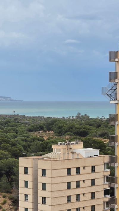 The image depicts a view from a building in Guardamar Del Segura, Spain. A multi-story building with multiple windows is in the foreground. Adjacent to it is a dense green forest, transitioning into a view of the coastline and the sea. The sky is light blue with scattered clouds.