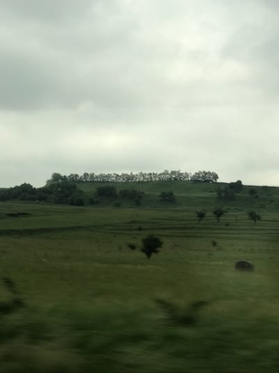 This image, captured in Pocoleni, Romania, depicts a rural landscape under an overcast sky. The foreground consists of blurred green vegetation, indicating motion during the capture. The mid-ground features a gentle green hillside with visible horizontal patterns, possibly from terracing or agricultural activity. Scattered across this area are several small, dark-foliaged trees and bushes. In the background, a distinct hill rises, its crest marked by a continuous, linear formation of trees against the sky. Additional clusters of trees and dense foliage are present on the hill's slopes. The upper portion of the frame shows a uniform, light grey overcast sky. No individuals, specific actions, or interactions are discernible.