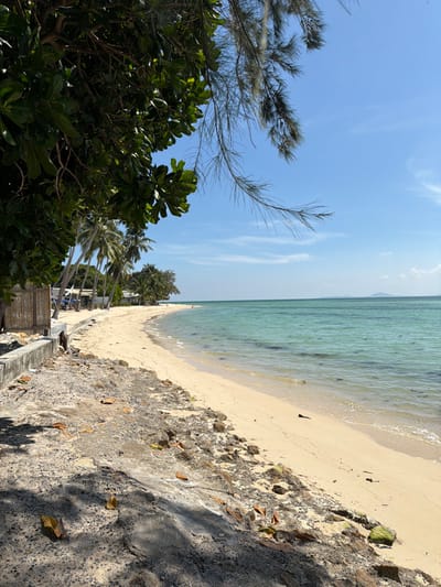 A beach scene with turquoise water meeting a sandy shore. Trees and greenery line the left side, contrasting with a concrete or stone wall on the right, marked with leaves and shadows. Palm trees and buildings are visible in the distance along the shoreline. The sky is blue with scattered clouds.