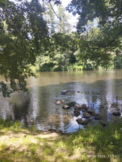 The image depicts a tranquil river scene, likely in the city of Karlovy Vary, Czechia. Overhanging branches with lush green leaves frame the top of the image, casting dappled shadows on the water below. The river itself is wide and appears shallow in places, with a rocky bed visible beneath the clear, rippling surface. A cluster of dark rocks breaks the water's surface near the left bank, with more rocks scattered further into the river. The far bank is densely lined with trees and vegetation, their reflections shimmering on the water. The foreground consists of a grassy bank with patches of sunlight illuminating the ground. A timestamp in the lower right corner reads "18.06.2026 13:23." There are no people or visible signs of human activity other than the timestamp.
