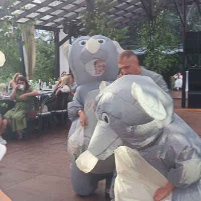 This media file depicts an outdoor event under a covered structure with a translucent roof, suggesting it is daytime. The scene shows several people, with two individuals prominently featured in inflatable elephant costumes. The costumes are large and grey, with visible openings for the wearers' faces. One costume has a face with eyes and a trunk, while the other is mostly obscured.
In the background, other guests are seated at tables, some of which are set for a meal with plates and bottles. A woman in a green dress is visible at one of the tables, dabbing her face with a white cloth. Other attendees are also seen in the background, and the overall atmosphere appears to be festive or celebratory. The ground is a paved surface, possibly a patio or terrace. The presence of trees and foliage suggests a garden or park setting.
The exact activity is unclear, but the costumes and gathering imply a party, wedding reception, or similar social event. The lighting indicates it is daytime, and the presence of people dressed in summer attire suggests warm weather. The visible elements, such as the tables, seating, and natural surroundings, place the event in an outdoor venue, likely in a town or city. No discernible text is visible in the media file.