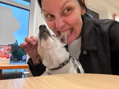 A medium shot photo shows a woman and a dog in a room with a window. The woman is on the right side of the frame and is making a playful, exaggerated facial expression, with her mouth open and teeth bared. She is wearing a black jacket over a white shirt. A small white dog with brown markings on its head is in the center of the frame, looking up towards the woman. The dog is wearing a black collar with silver studs. The woman's right hand is near the dog's head, and it appears she might be holding something for the dog to eat. The background shows a window with a view of trees and a light blue sky. A sign with images of pizza is visible through the window on the left. Part of a wooden table is in the foreground, and a radiator is visible below the window. The scene appears to be indoors, possibly in a cafe or restaurant. The location is the city of Chusovoy, Russia.