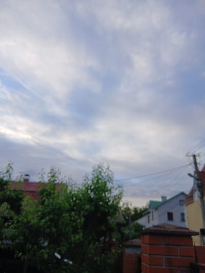 A slightly out-of-focus outdoor shot shows a residential area in Vita-Poshtova, Ukraine, under a cloudy sky. In the foreground, a brick fence pillar is visible. Behind it, trees with green foliage are prominent, with some hints of white flowers. Further back, parts of houses with red and green roofs are visible, along with a taller building with a yellow facade. Power lines are strung across the upper portion of the scene. The overall impression is that of a suburban or rural setting.