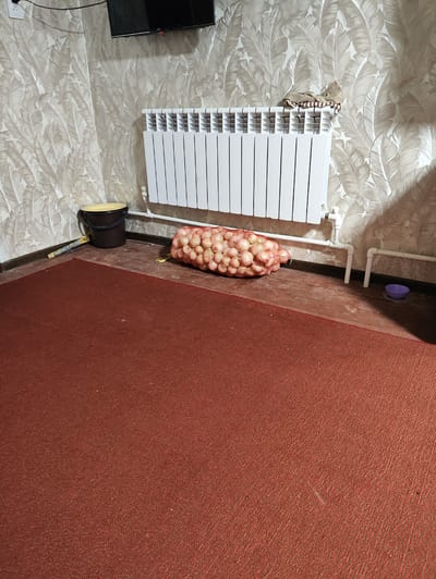 An indoor scene, likely a room in Navrouz, Uzbekistan, shows a corner with a red carpet covering the floor. A white ribbed radiator is mounted on a wall with patterned wallpaper. To the left of the radiator, a dark bucket with a yellow lid sits on the wooden floor, next to a cleaning tool with a yellow and blue patterned handle. A large net bag filled with onions is placed in front of the radiator. Further to the right, a small purple bowl rests on the floor. A television is mounted high on the wall above the wallpaper.