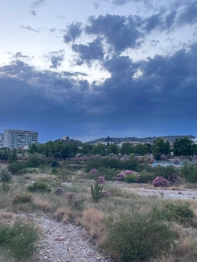 The image depicts a view of Sagunto, Spain, at dusk. In the foreground, a dry, rocky creek bed is surrounded by dry grass and green shrubbery. Scattered throughout the midground are clusters of pink flowering bushes and trees. In the background, to the left, a multi-story, light-colored apartment building stands. Further to the right, across a line of trees, several low-rise buildings and a church with a blue-tiled roof are visible. On a distant hilltop, a small castle-like structure with an orange roof is illuminated. The sky is filled with dark, dramatic clouds, suggesting an impending storm or the aftermath of one, with lighter patches indicating the fading daylight. There are no people or animals visible in the image. The overall scene is one of a suburban or semi-rural landscape at the edge of a town, under a brooding sky.