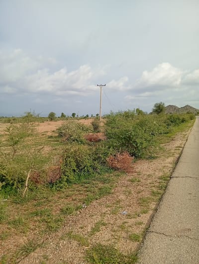 The image depicts a rural scene with a paved road on the right side, bordered by dry, sandy terrain with sparse vegetation. In the middle ground, there are clusters of green bushes and some dried branches. A power pole stands in the left-center of the frame. In the background, hills are visible under a cloudy sky. This scene is located in Shuwa, Nigeria.