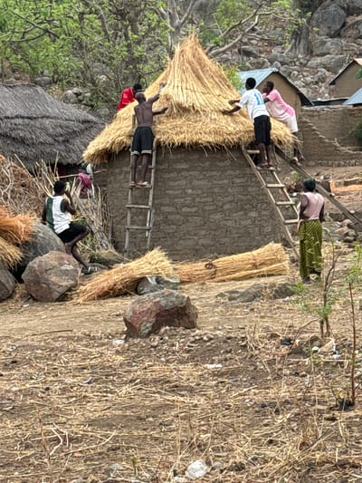 In Dawaki, Nigeria, a daytime scene depicts people constructing thatched roofs. Four individuals are on ladders, affixing bundles of straw to the mud walls of buildings. One person lies on rocks near the ground, while another stands nearby. Finished and unfinished straw bundles are scattered around the site. The surrounding terrain is dry and consists of dirt, rocks, and sparse vegetation. The buildings appear to be simple structures. The scene suggests communal construction or home improvement.