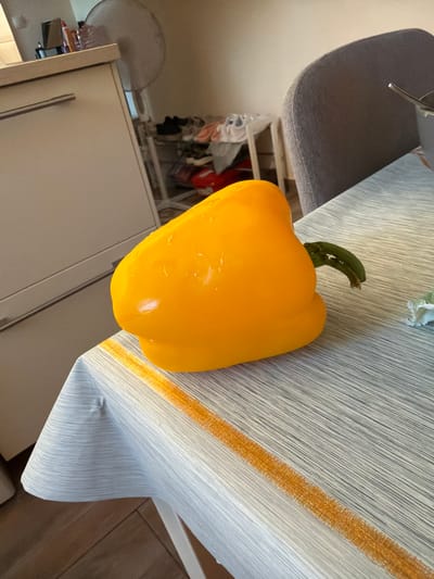 The image shows a yellow bell pepper on a table with a light blue and white striped tablecloth that has an orange stripe. The bell pepper is wet and glistens. To the left of the pepper is a portion of a light-colored cabinet. In the background, a grey upholstered chair is visible, along with a shoe rack with shoes on it and a white oscillating fan. The scene appears to be indoors, likely in a kitchen or dining area. There are no people or animals visible. The setting is consistent with a residential environment in Tatabánya, Hungary.