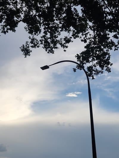The image shows a silhouette of a street lamp against a sky with clouds and tree branches. The street lamp has a curved arm and a rectangular light fixture. The tree branches are dark and leafy, obscuring parts of the sky. The sky is a mix of light blue and white, with some areas appearing hazy or overcast. The overall impression is one of an outdoor scene, possibly in a park or along a street. The image does not contain any people or specific identifiable landmarks that would indicate its location in Altamonte Springs, United States of America.