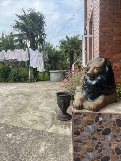 The image captures an outdoor courtyard scene in the village of Ghvaghalebis Temi, Georgia. In the foreground, to the right, is a decorative statue of a lion with a dark mane and brown body, resting on a tiled base made of various colored stones. To the left of the lion statue, a dark, ornate planter sits on the concrete ground.
The courtyard itself is paved with concrete, showing some signs of wear and staining. In the mid-ground, laundry is hung on a clothesline strung between wooden poles. The laundry includes several white, pink, and patterned items. Behind the clothesline, lush green foliage, including bushes and trees, creates a backdrop. Further in the background, a large palm tree stands tall. A grey, cylindrical structure, possibly a well or a water tank, is visible to the right of the laundry. The scene is set against a cloudy sky. To the far right, a portion of a brick building with a white-framed window is visible. Two small birds are perched on a wire in the sky, near the building.
