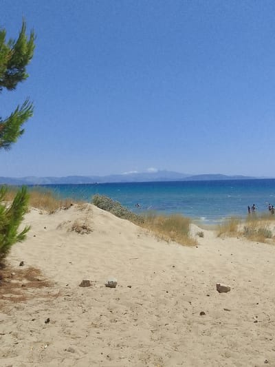 The image depicts a serene beach scene under a clear blue sky, likely in the Artemida Municipal Unit, Greece, given the characteristic Mediterranean landscape. In the foreground, soft sand dunes are dotted with sparse dry grass and a few scattered rocks. A pine branch extends from the left side of the frame, casting a shadow on the sandy terrain.
Beyond the dunes, the turquoise sea stretches towards the horizon, meeting a hazy mountain range. The water is calm, with gentle waves lapping at the shore. Several individuals are visible in the water and along the shoreline. In the middle ground, a few people are wading or swimming. Further to the right, a small group of people stand near the water's edge, appearing to be interacting. The overall atmosphere is one of a quiet, sunny day at the beach.