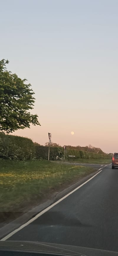 The image captures a roadside view under a twilight sky, seemingly taken from a moving vehicle. The sky exhibits a gentle gradient, transitioning from a light blue on the left to a soft orange-pink hue on the right, with a bright, near-full moon positioned in the upper-middle portion of the sky.
A dark asphalt road occupies the right side of the frame, featuring a prominent solid white line along its right edge. The road surface appears damp or reflective in places. A dark-colored vehicle, possibly a van or SUV, is visible in the distance, driving away from the viewer.
To the left of the road, a green grassy verge extends, speckled with small white and yellow wildflowers. Beyond the verge, a row of dense bushes and trees forms the landscape, with some trees appearing bare and others fully leafed. A large, verdant tree with rich foliage fills the lower-left corner of the image.
Two signs are present on the left side of the road: a partially obscured circular sign and a rectangular street sign clearly displaying the text "MUNDFORD LANE". The setting, with its rural road and natural scenery, aligns with the provided context of South Norfolk, United Kingdom. The soft, colored sky and visible moon suggest the photograph was taken during either an early morning sunrise or a late evening sunset/twilight.