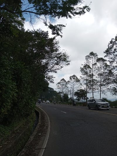 The scene is located in the city of Boommlog, Bhutan. The image displays a slightly curved asphalt road winding through a vegetated, sloping terrain under an overcast sky with visible patches of blue. On the immediate left, a concrete drainage gutter runs parallel to the road, bordered by a dense, tall wall of dark green foliage and trees ascending an embankment. The road features a visible white solid line marking the shoulder on the left and a yellow solid line indicating the center further down the perspective.
On the right side of the road, a metal guardrail separates the pavement from a downward slope dotted with various trees, including several tall, slender trees with sparse canopy. Vehicle traffic is observed on the road. In the foreground on the right lane, a silver multi-purpose vehicle (MPV) with the Indonesian license plate B 1272 PJJ is traveling away from the viewer. Further down the road, multiple vehicles, including several white cars and dark vehicles, are visible in both directions. Several motorcycles are also present; one appears on the far right shoulder, and another is further down on the main road. No individuals are clearly discernible. The distant background presents a hazy, undulating landscape beneath the horizon.