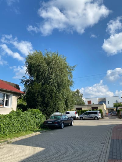The image depicts a residential street in Przeźmierowo, Poland, on a sunny day with scattered white clouds against a bright blue sky. A dark-colored, older model sedan, possibly a Jaguar, is parked on the left side of the paved driveway. To the left of the sedan, a house with a red roof and beige siding is visible, partially obscured by dense green foliage. Behind the sedan, two vans are parked: a white one and a silver one with the logo "Barbatas" on its side. Further in the background, modern white and beige buildings with dark windows are situated. The driveway is paved with interlocking concrete blocks. The scene is tranquil and suggests a typical suburban setting.
