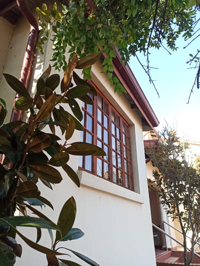 The image shows a close-up, low-angle view of a white building exterior in Pretoria, South Africa. The building features a prominent wooden-framed window with multiple panes. Above the window, a dark red gutter runs along the edge of the roof. Lush green and brown foliage from trees and plants is visible in the foreground and upper portion of the image, partially obscuring the building and sky. The sky is a clear, light blue. To the right of the building, a staircase with a silver railing leads upwards, and a small tree with sparse branches and leaves is situated next to it. The lighting suggests it is daytime, with sunlight casting shadows on the building. No people are visible in the scene.