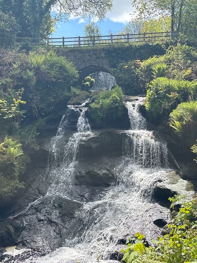 The image depicts a waterfall cascading down a rocky cliff face. Lush vegetation, including ferns and various plants, surrounds the waterfall. A stone bridge is partially visible in the background. A wooden fence is set along the edge. The scene is Thornliebank, United Kingdom.